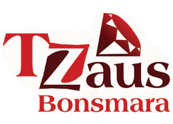 Tzaus Bonsmara