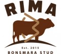 RIMA BONSMARA STUD - website write up.docx