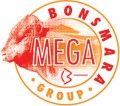 Mega Bonsmara Group
